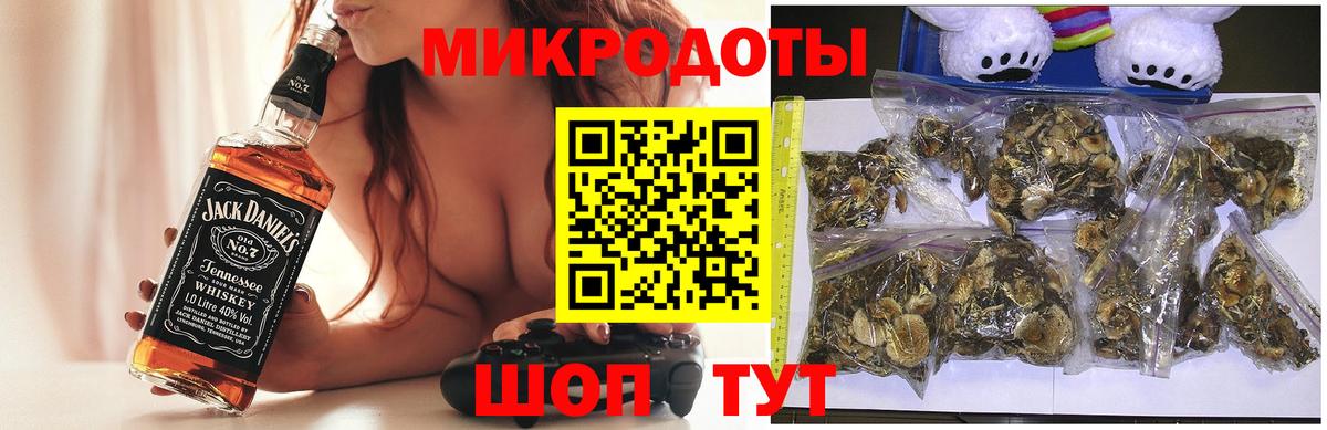 Псилоцибиновые грибы Psilocybe  Галлюциногенные грибы Psilocybe  Вход с VPN  Шарыпово 